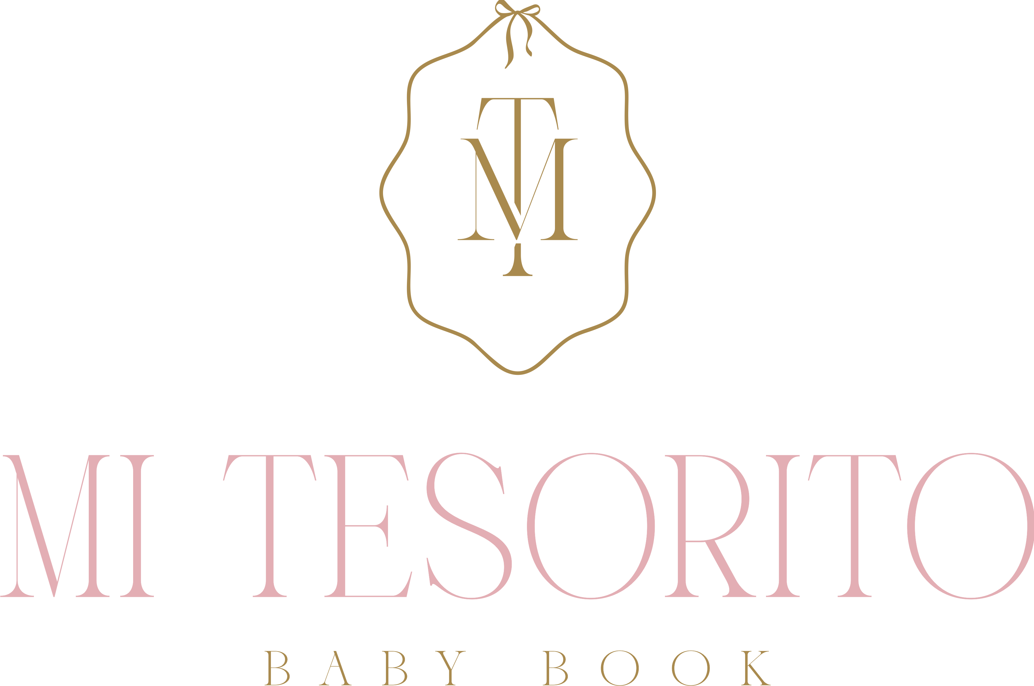 Mi Tesorito┃Baby Book